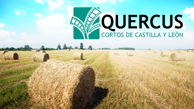 QUERCUS. Cortometrajes de Castilla y León